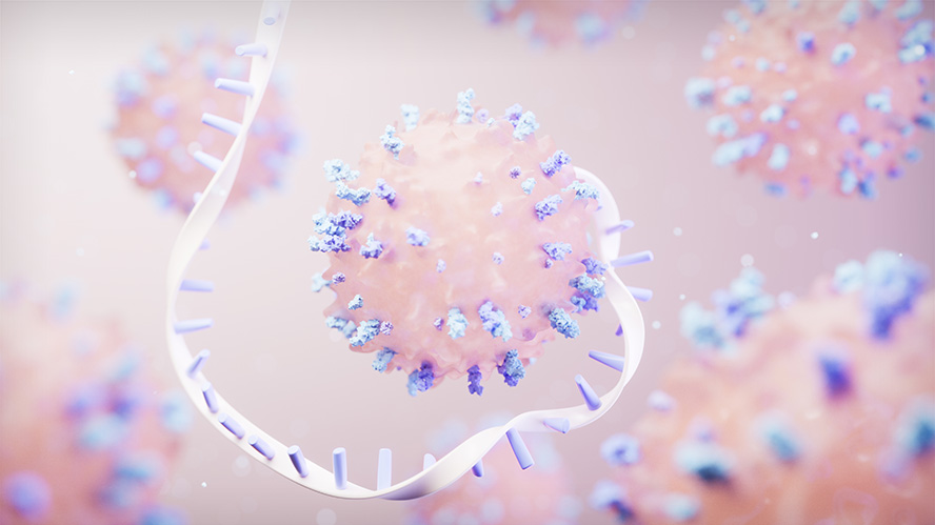 concept illustration of an immune cell (pink and blue) surrounded by a floating single strand of DNA